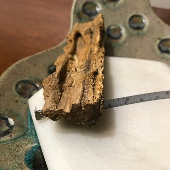 Rare smoky quartz petrified wood - Picture 4 of 5